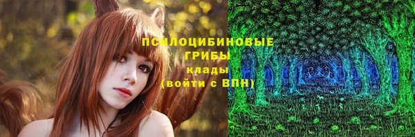 крисы Алексеевка