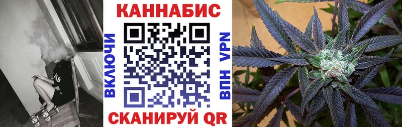 Каннабис OG Kush Калязин